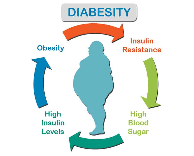 Diabesity-dramitsood - DIiabetes